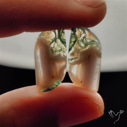 Moss Agate Pair