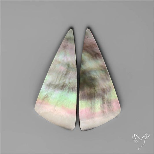 Tahitian Rainbow Mother Of Pearl Pair