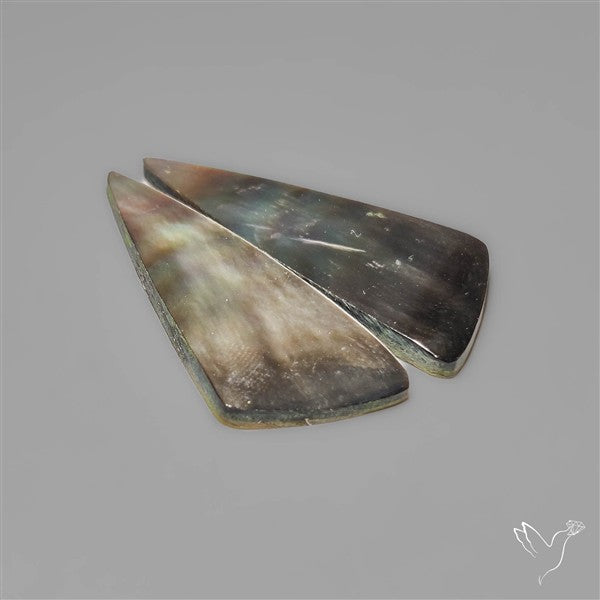 Tahitian Rainbow Mother Of Pearl Pair