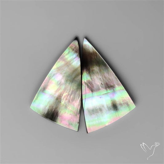 Tahitian Rainbow Mother Of Pearl Pair