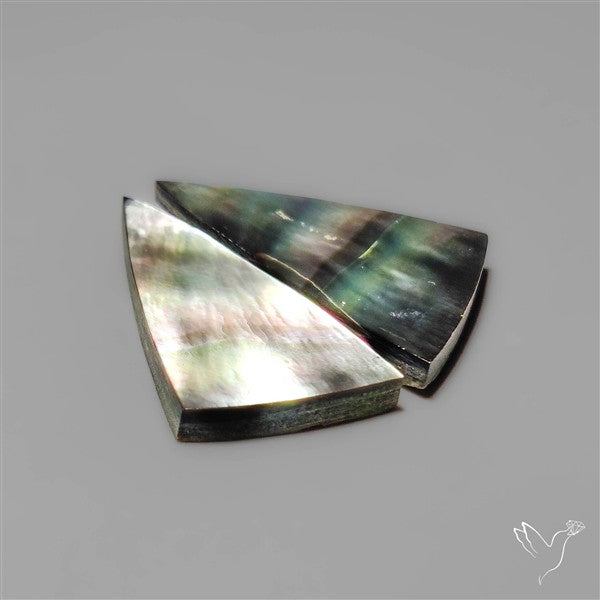 Tahitian Rainbow Mother Of Pearl Pair