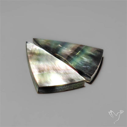 Tahitian Rainbow Mother Of Pearl Pair