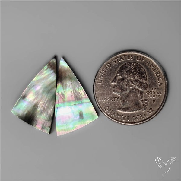 Tahitian Rainbow Mother Of Pearl Pair