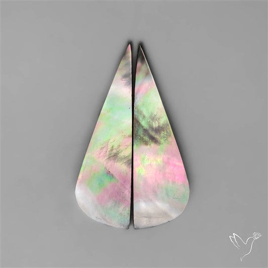Tahitian Rainbow Mother Of Pearl Pair