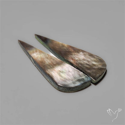 Tahitian Rainbow Mother Of Pearl Pair