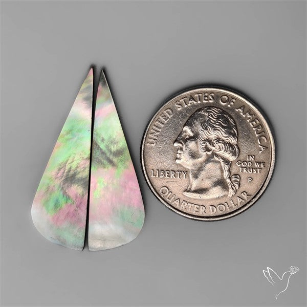 Tahitian Rainbow Mother Of Pearl Pair
