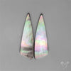 Tahitian Rainbow Mother Of Pearl Pair