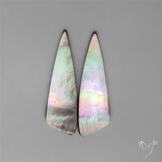 Tahitian Rainbow Mother Of Pearl Pair