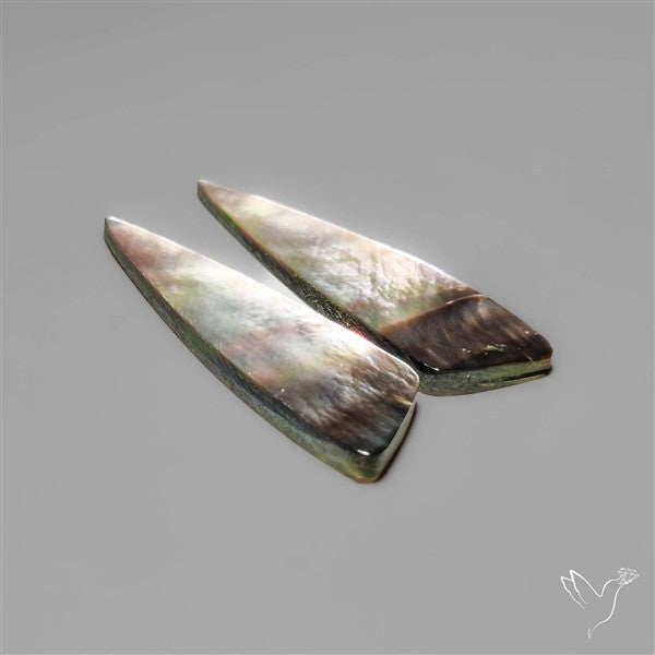 Tahitian Rainbow Mother Of Pearl Pair