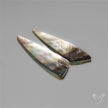 Tahitian Rainbow Mother Of Pearl Pair