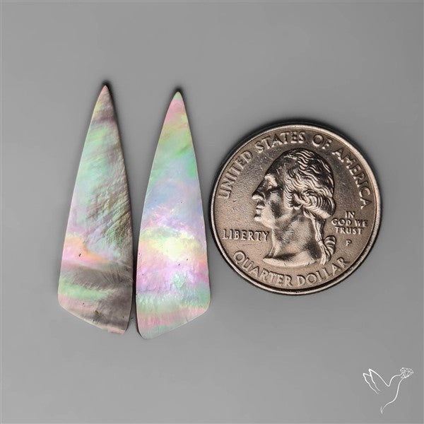 Tahitian Rainbow Mother Of Pearl Pair