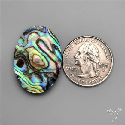 Abalone Shell Cabochon (backed)