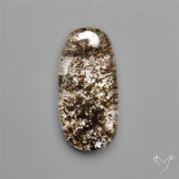 Lodolite Garden Quartz- Raw at back