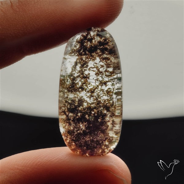 Lodolite Garden Quartz- Raw at back