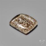 Lodolite Garden Quartz- Raw at back