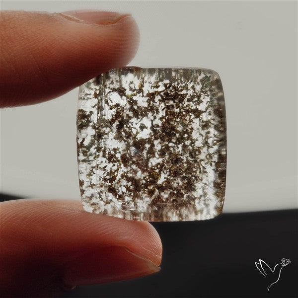 Lodolite Garden Quartz- Raw at back