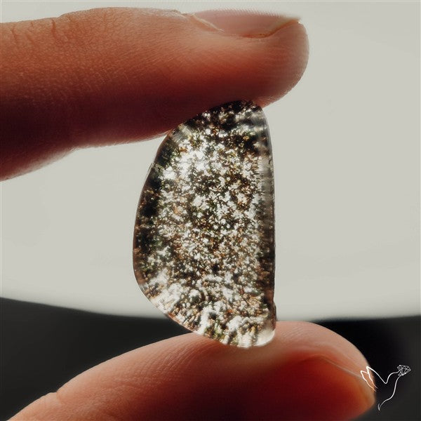 Lodolite Garden Quartz- Raw at back