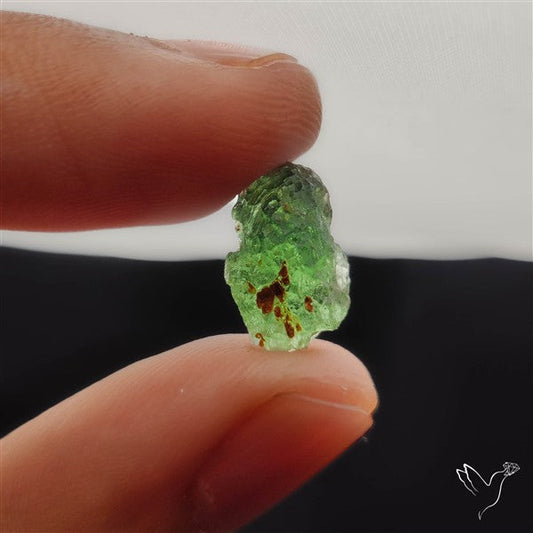 Rare Raw Natural Moldavite