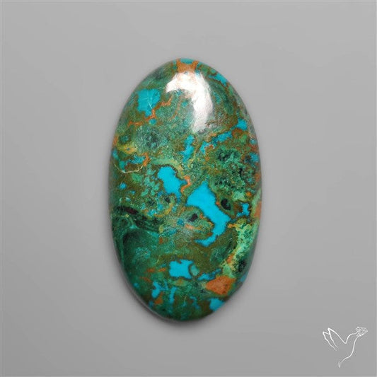 Parrot Wing Chrysocolla Cabochon
