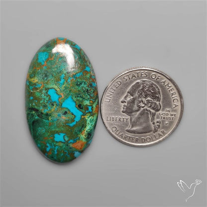 Parrot Wing Chrysocolla Cabochon