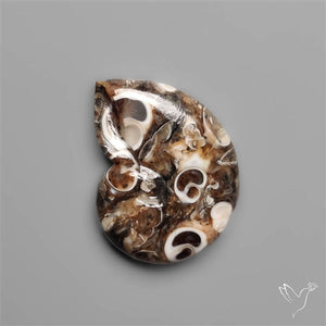 Turritella Jasper Ammonite Carving
