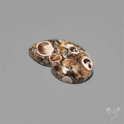 Turritella Jasper Ammonite Carving