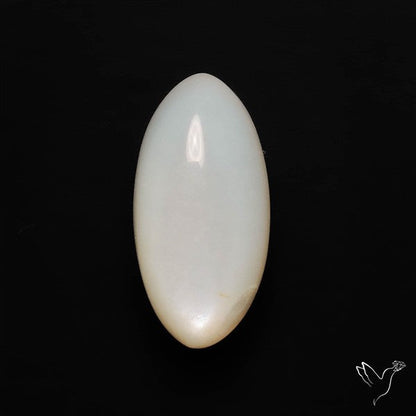White Moonstone Cabochon