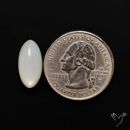 White Moonstone Cabochon