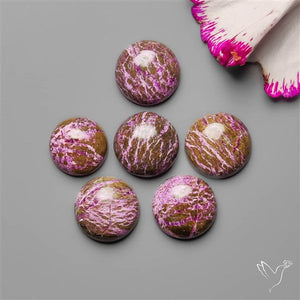 Calibrated Stitchite Cabochons Lot