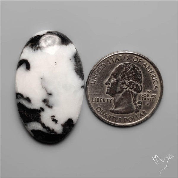 White Buffalo Turquoise