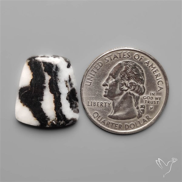 White Buffalo Turquoise