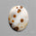 Polka Dot Agate