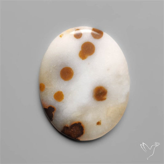 Polka Dot Agate