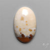 Polka Dot Agate