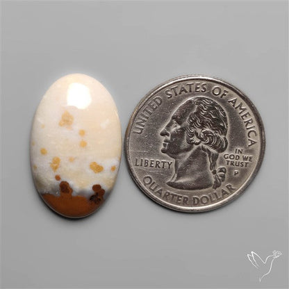 Polka Dot Agate