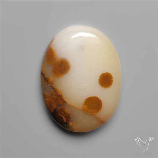Polka Dot Agate
