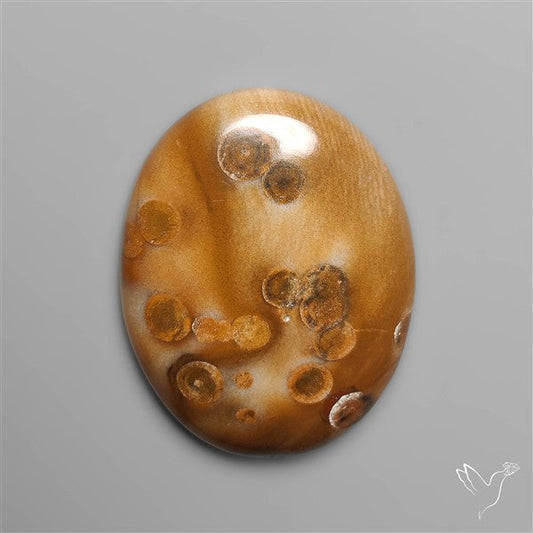 Polka Dot Agate