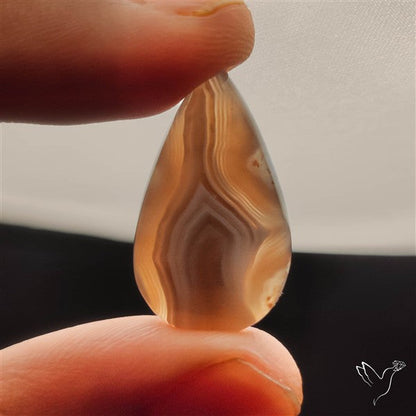 Botswana Agate