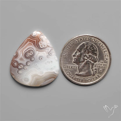 Swirling Pattern Botswana Agate