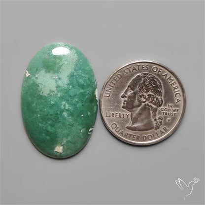 Mtorolite Chrome Chalcedony