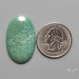 Mtorolite Chrome Chalcedony