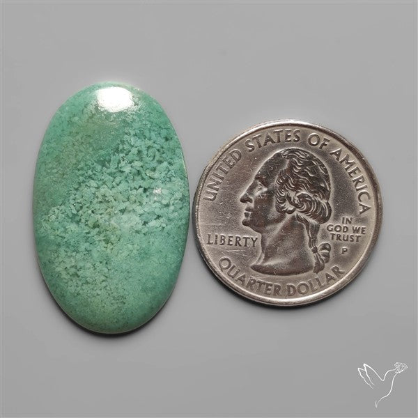 Mtorolite Chrome Chalcedony