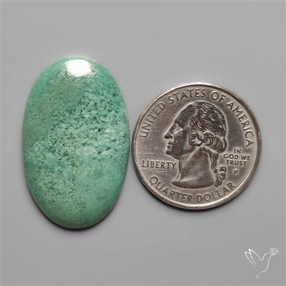 Mtorolite Chrome Chalcedony