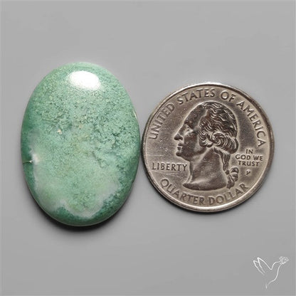 Mtorolite Chrome Chalcedony