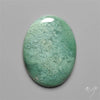 Mtorolite Chrome Chalcedony