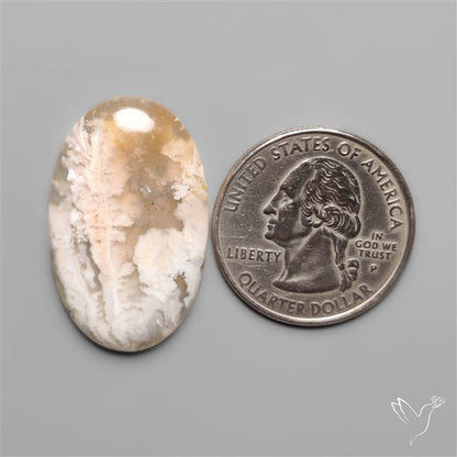 Stinking Water Plum Agate