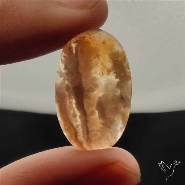 Stinking Water Plum Agate