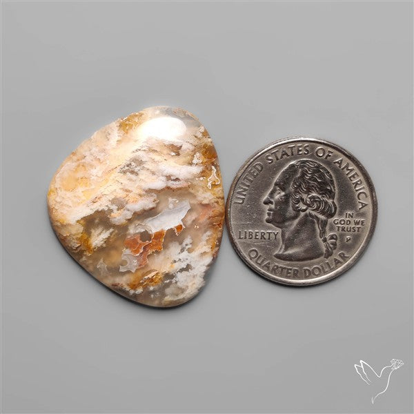 Northridge Plum Agate