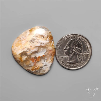 Northridge Plum Agate