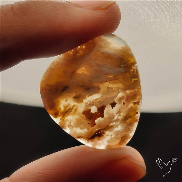 Northridge Plum Agate